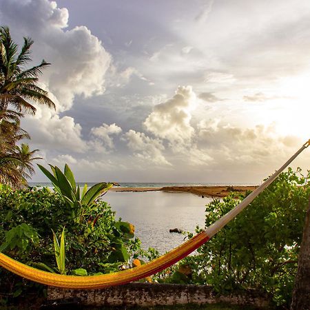 Casa Coral Pansiyon Luquillo Dış mekan fotoğraf