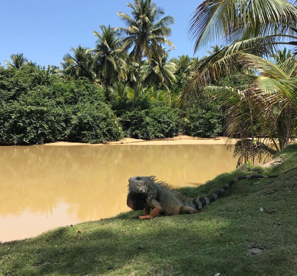 Casa Coral Pansiyon Luquillo Dış mekan fotoğraf