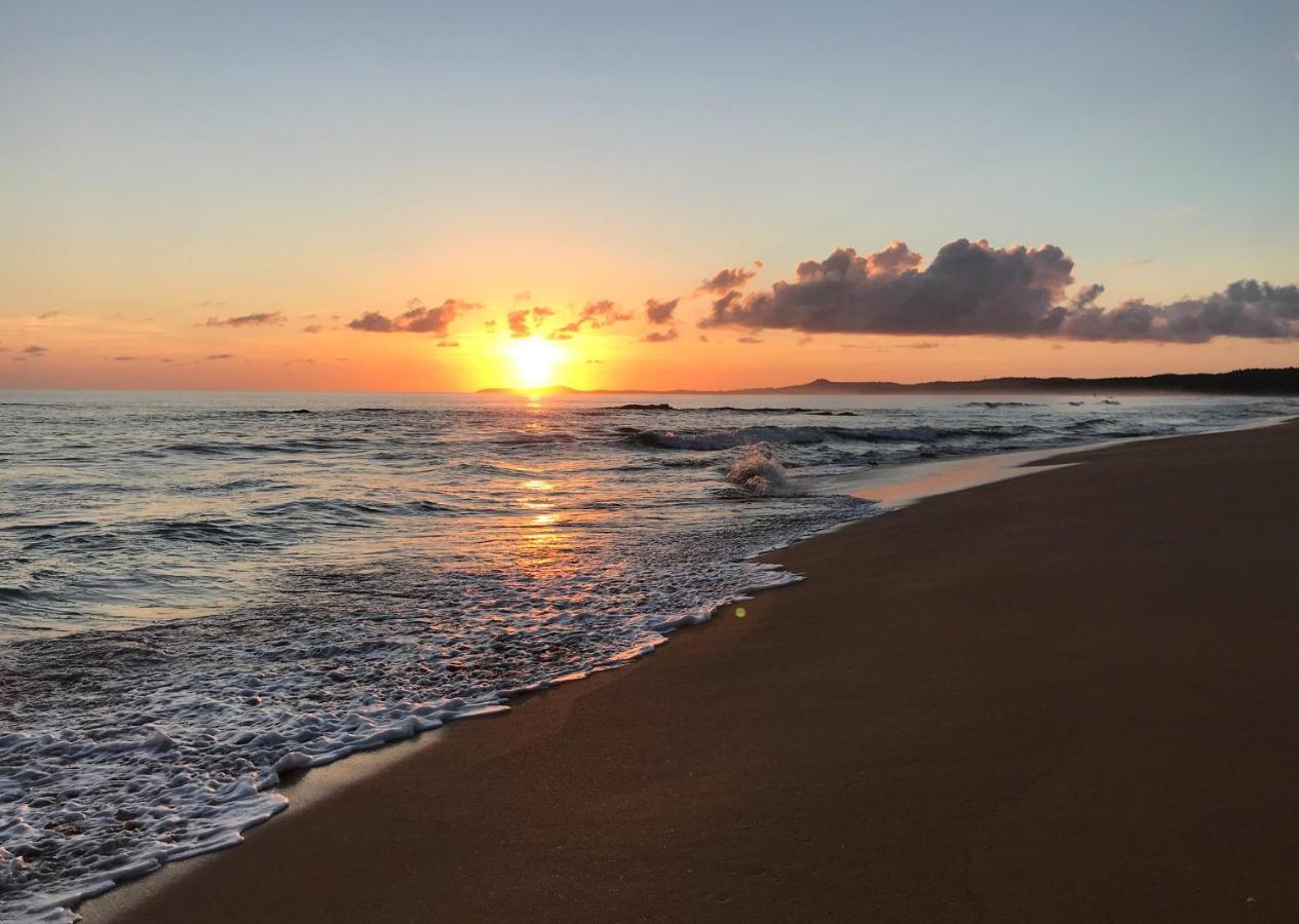 Casa Coral Pansiyon Luquillo Dış mekan fotoğraf