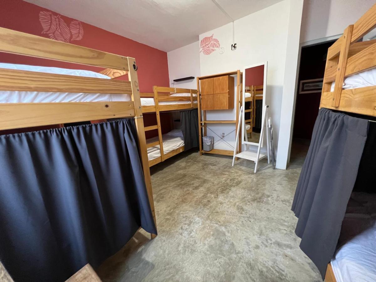 Casa Coral Pansiyon Luquillo Dış mekan fotoğraf