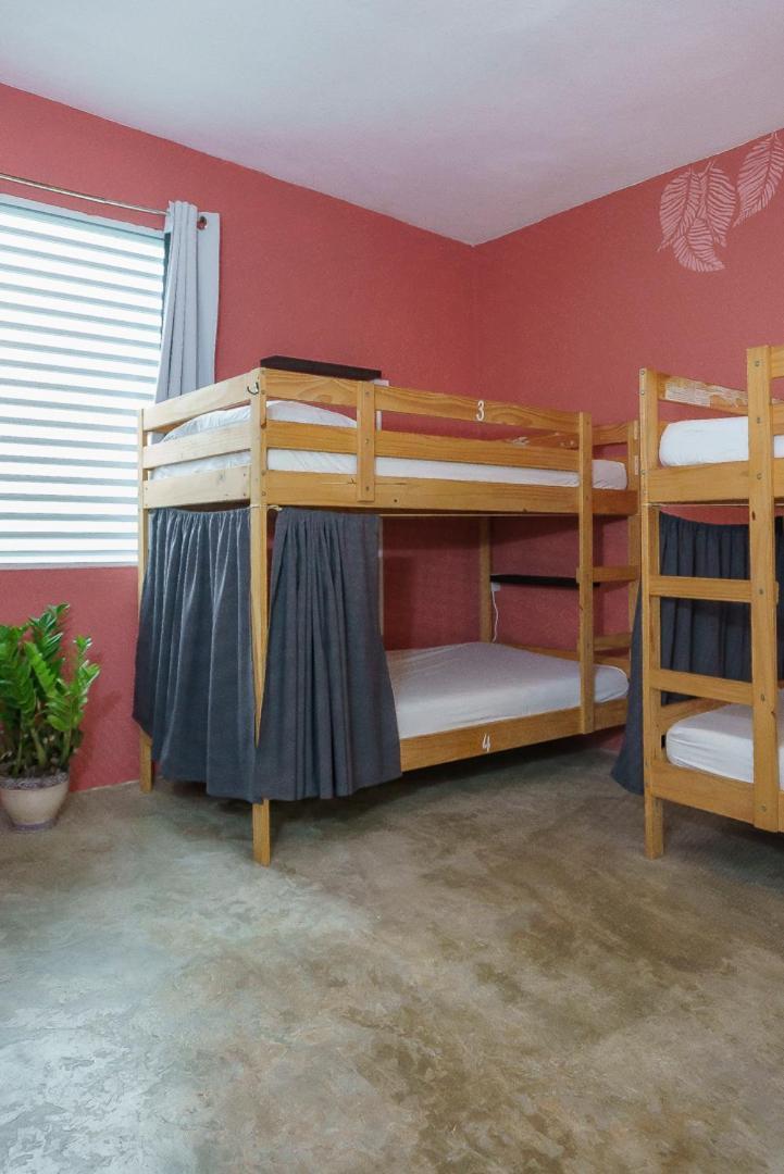 Casa Coral Pansiyon Luquillo Dış mekan fotoğraf